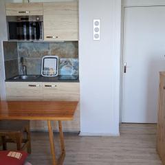 Studio cosy pour 3 pers avec balcon et équipements de confort aux Adrets-Prapoutel - FR-1-557-130