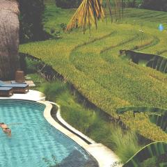 Dharma Oasis