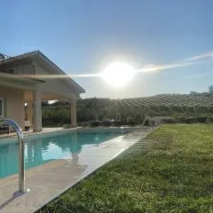L'Oro Verde