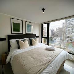 HOM I Acogedor y Luminoso Depto 1D1B 2PAX Santiago