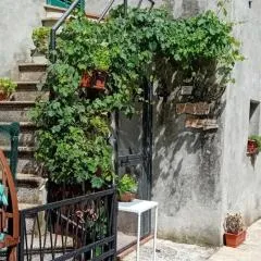 Nicolas House