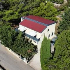 Apartments with parking space Vir - Torovi - Vir - Pedinka, Vir - 22373
