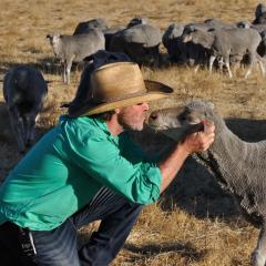 DONN4254S - Wilga Farm Stay - Shearer's Shack Single
