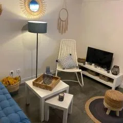 Appartement proche conservatoire hyper centre
