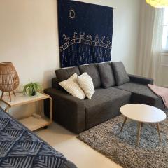 Rovaniemi center apartment