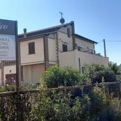 Agriturismo IL VECCHIO OLIVO