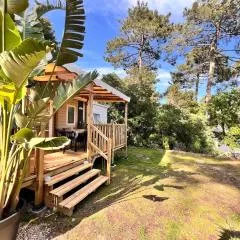 Un toit sur le bassin bungalow