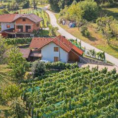 Rainbow Cottage In The Vineyards - Happy Rentals