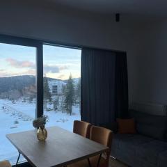 Bjelašnica Apartment Beautiful Panorama View of Nature