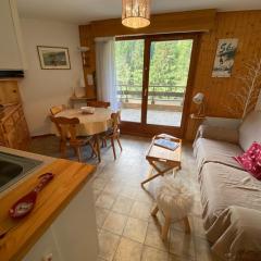 Bel appartement avec terrasse et parking à 800m du centre-ville - FR-1-693-112