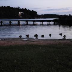 domek letniskowy