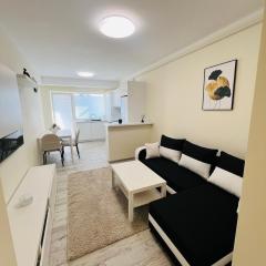 Ivy Central Residence