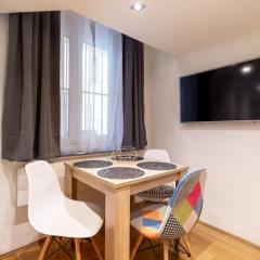 B21 Bajcsy Apartment