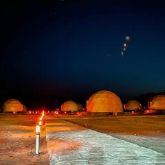 Wadi rum Wild life camp