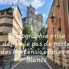Les Hortensias Roses Duplex