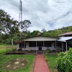 Hospedaje refugio en el Bosque