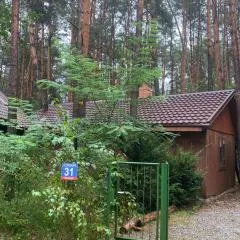 Przytulny domek w lesie blisko rzeki
