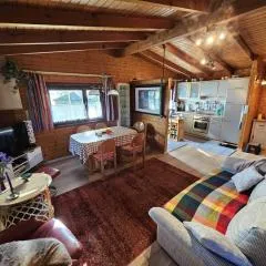Ferienhaus Waldgefluester