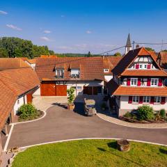 Remise 67 - Historisches Anwesen beim Maison 1775, mit Sauna, Wissembourg, Elsass