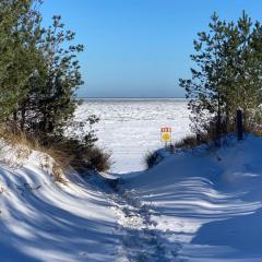 A Meyer Meerblick 31 7