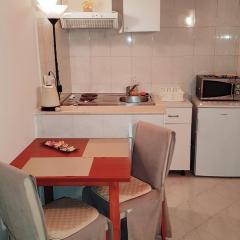 Apartments Minerva - One Bedroom Apartment A1