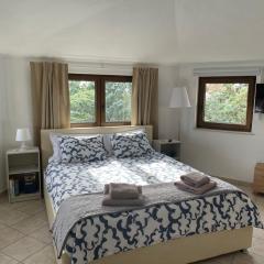 All You Need Holiday