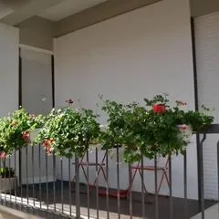 Sogni d'oro a 300 m dai Sassi
