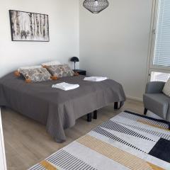 Snowflake Suites VII