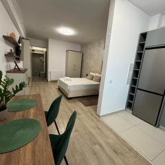 Lazar Studio Apartment - Palas Center