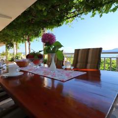 Apartments Stipo - Comfort One Bedroom Apartment with Terrace and Sea View A1