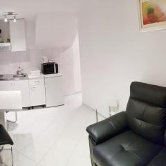 Apartments Minerva - One Bedroom Apartment A2