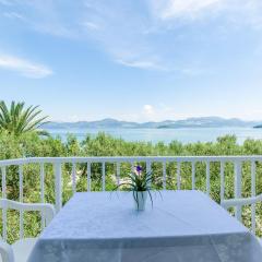Apartments Glavor - Standard Studio Apartment with Terrace and Sea View SA2