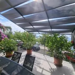 Apartman Ruža