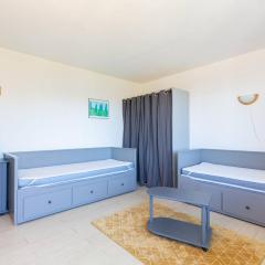 Studio 4 pers, 50m navette pistes, commerces proches - FR-1-695-49