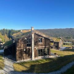 Geilo - Ny og flott hytte på budalstølen