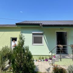 The Little Green House