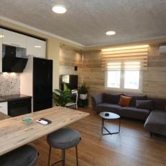 David Center Apartment