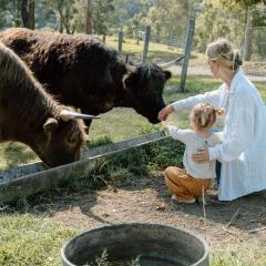 Family Fun On The Farm! Close to Kenilworth Stylish Feed Friendly Cows Breathtaking 360 Views