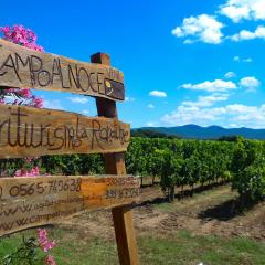 Agriturismo La Rondine