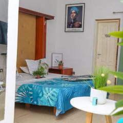 Studio Meublé DLUX à 1min d'Orange Village, Bushman