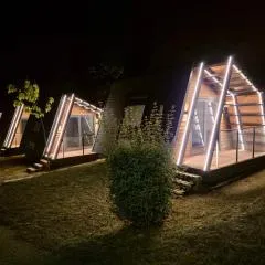 Camping BOSQUE DE G0RD0N