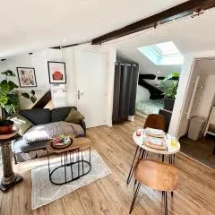 Loft Hortensia Climatisé hyper Centre Castres