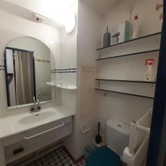 Studio 2/3 pers à 20m du télécabine, cuisine équipée, balcon sud, animaux admis - FR-1-561-116