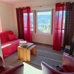 Chalet paisible à 4km de la station des Carroz - Chalet St François de Sales