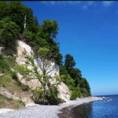 "Am kleinen Königsstuhl" Fisch