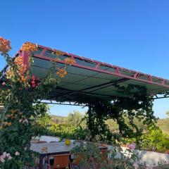 Casas da Serra d'Ossa - Casa do Pomar