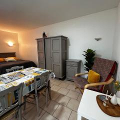 Studio entre centre-ville et Thermes avec jardin et WIFI - FR-1-541-116