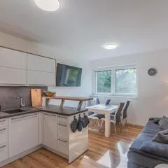 Apartmán Černá v Pošumaví