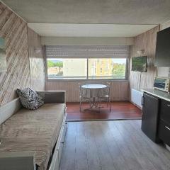 Studio plage du Grazel