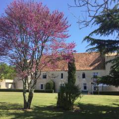 Chateau de Lugérat - 4 chambres - 2 et 3 personnes